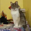 Отзыв от Лариса Астафьева